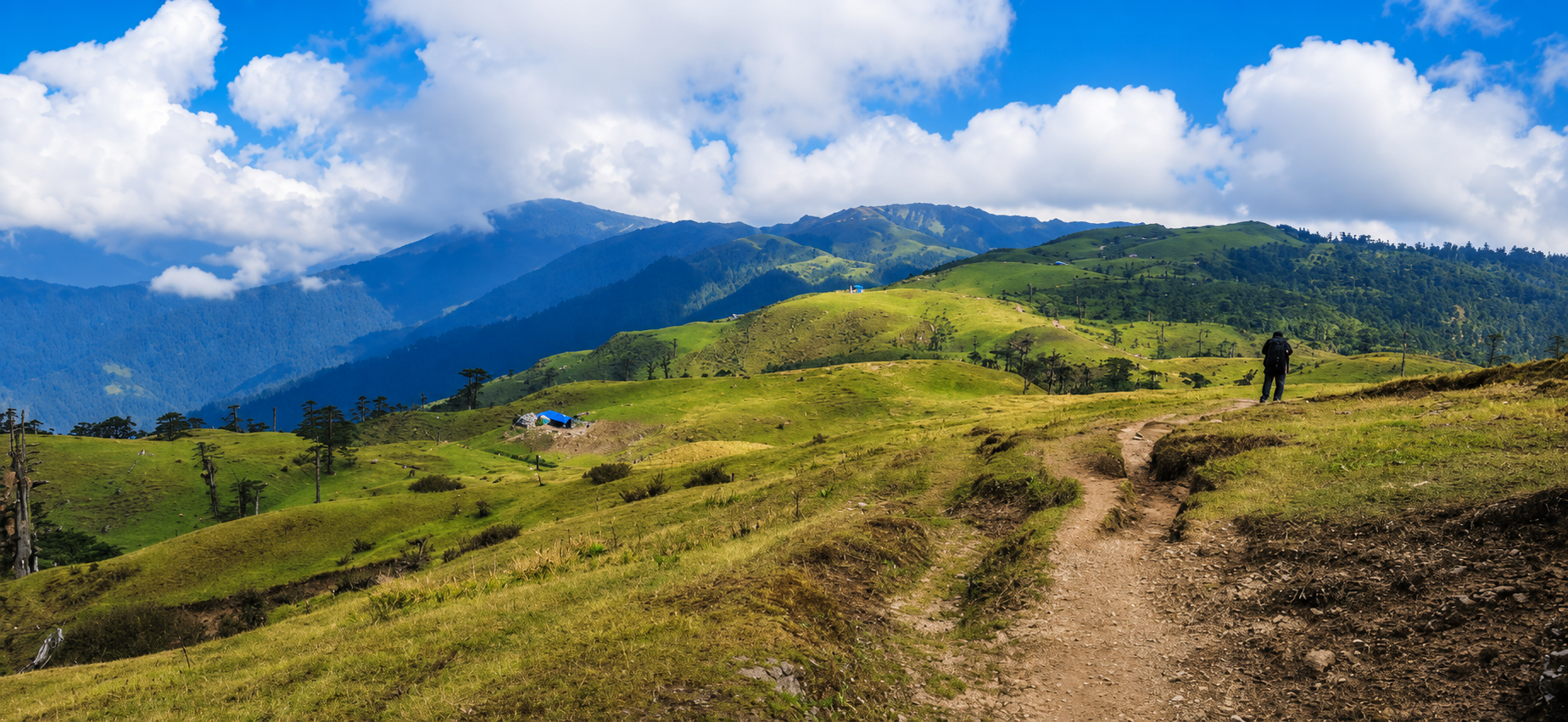 Why Does the World Need Green Tourism Now?